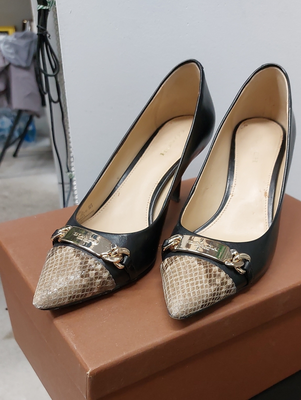 Coach Black Pumps with Beige Snake-Print Pointed Toe and Gold Plaque